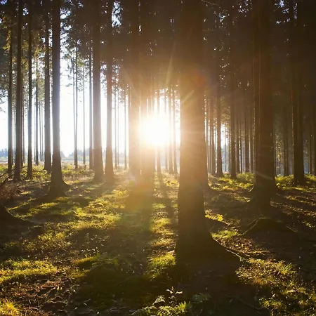 Felsberg Modern Retreat * Niedersalwey