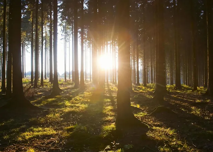 Felsberg Modern Retreat * Niedersalwey